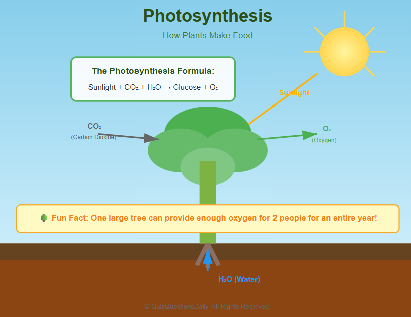 Screenshot 2025 11 16 190944