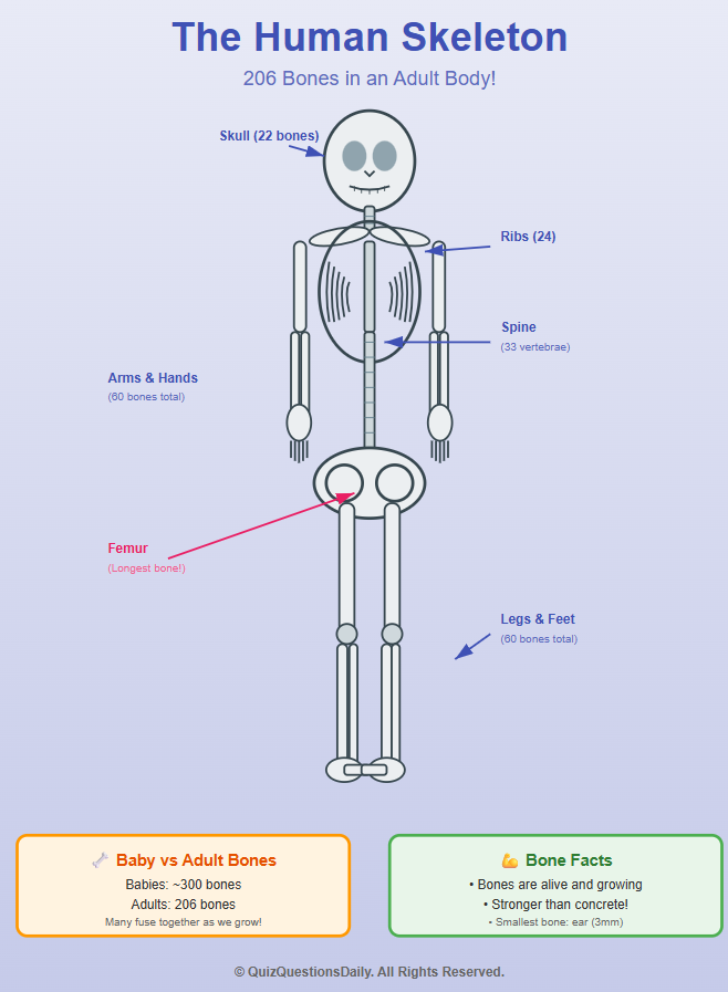 Screenshot 2025 11 16 191916