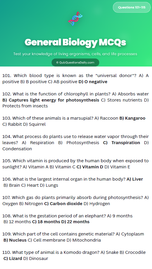 Screenshot 2025 11 17 011452