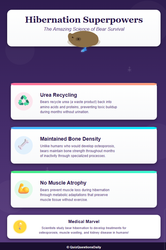 Screenshot 2025 11 21 161349