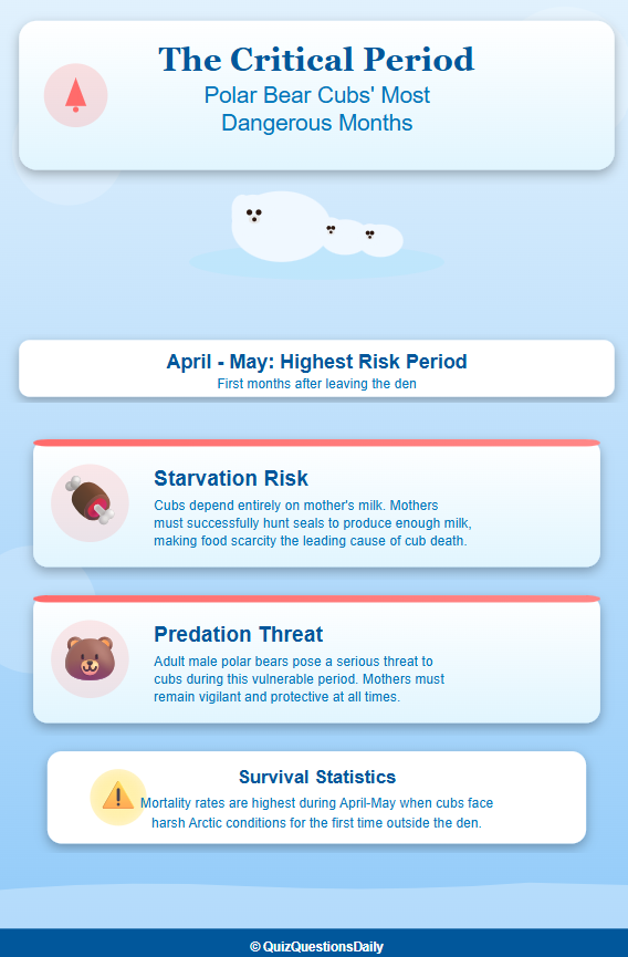 Screenshot 2025 11 21 163237