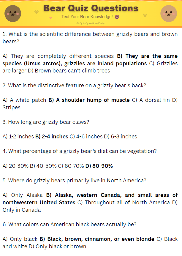 bear quiz questions