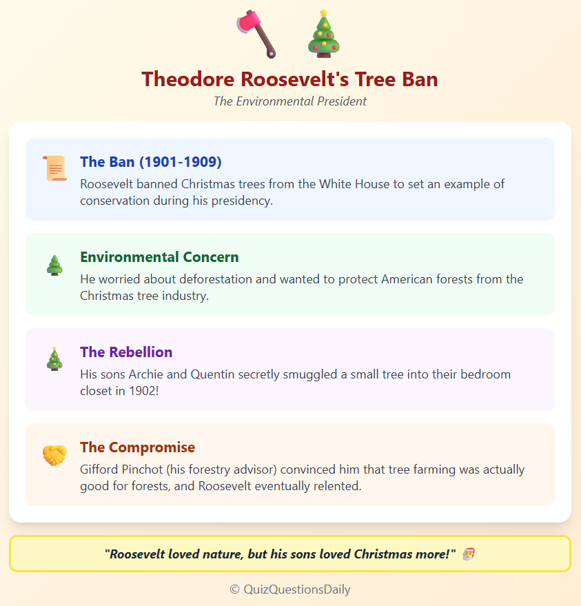 Christmas Quiz Questions: Tree Ban