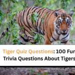 Tiger Quiz Questions