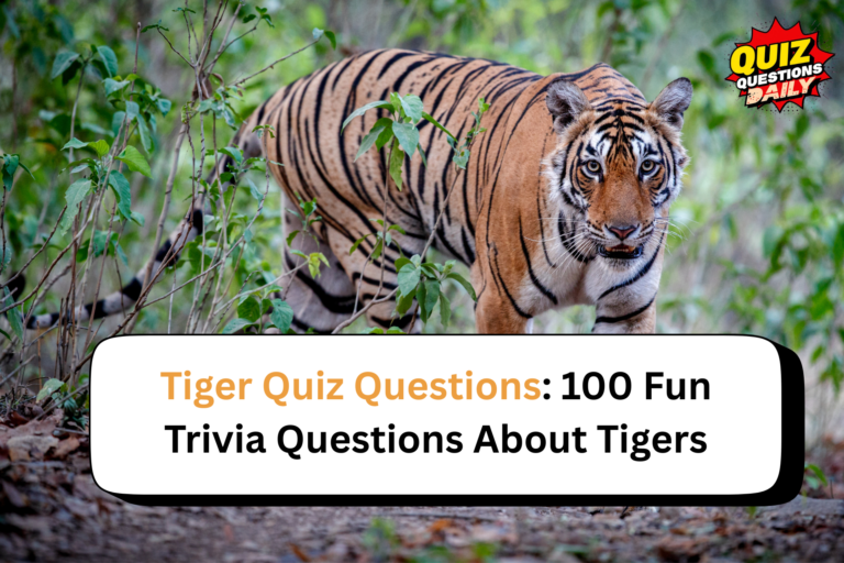 Tiger Quiz Questions