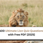 lion quiz questions