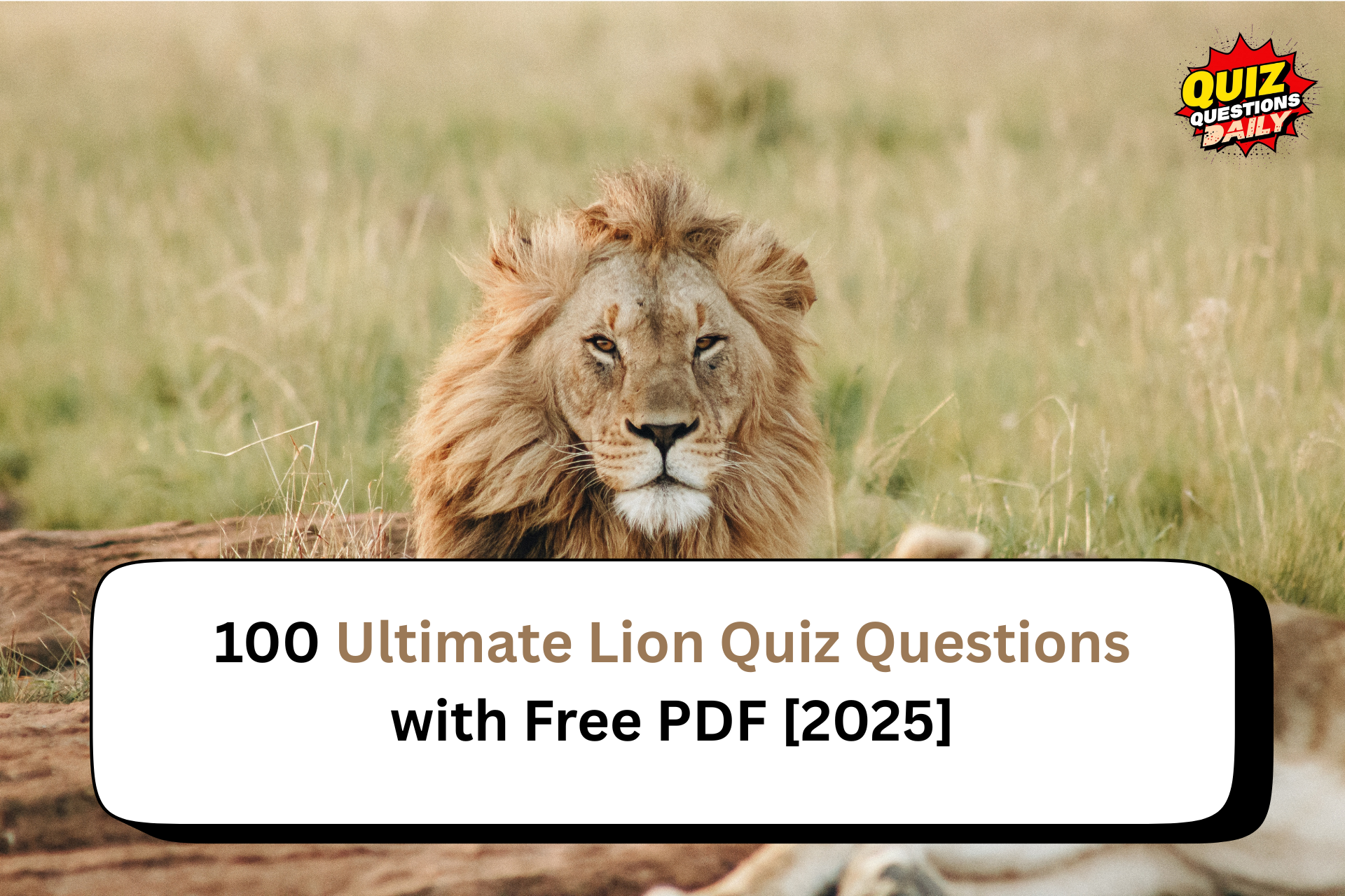 lion quiz questions
