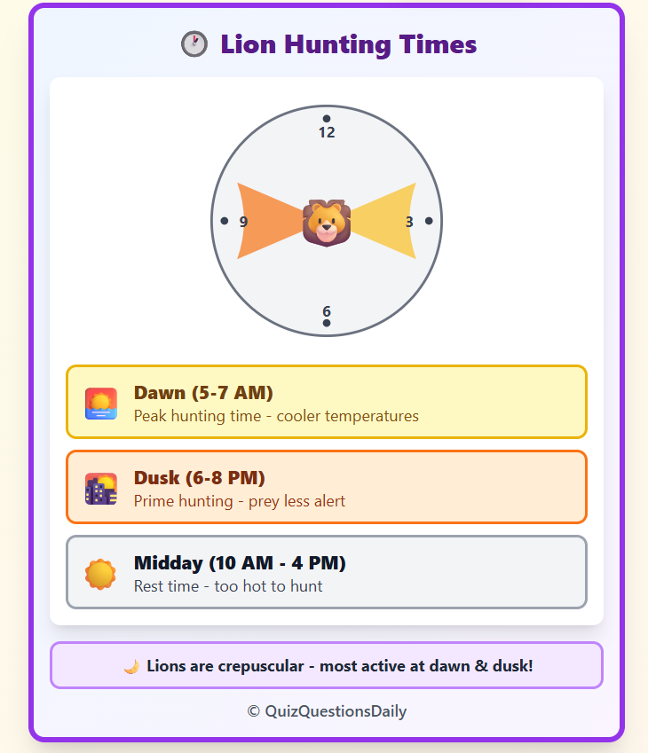 Lion Quiz Questions: Lion Hunting Times