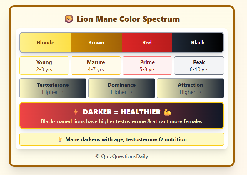 Lion Quiz Questions: Lion Mane Color Spectrum