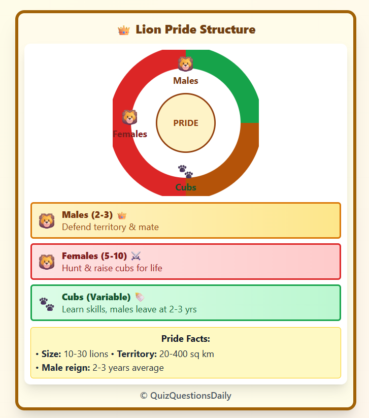 Lion Quiz Questions: Lion Pride Composition