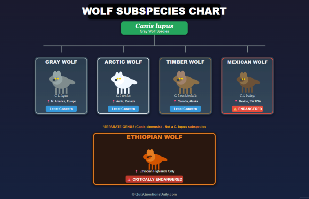 Wolf Quiz Questions: Wolf Subspecies Chart