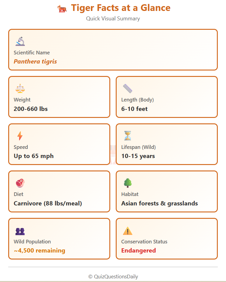 Tiger Quiz Questions: Tigers at a Glance