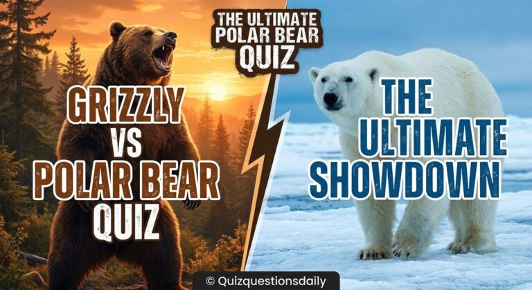 Grizzly vs polar bear quiz