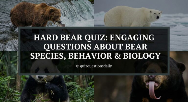 Hard Bear Quiz